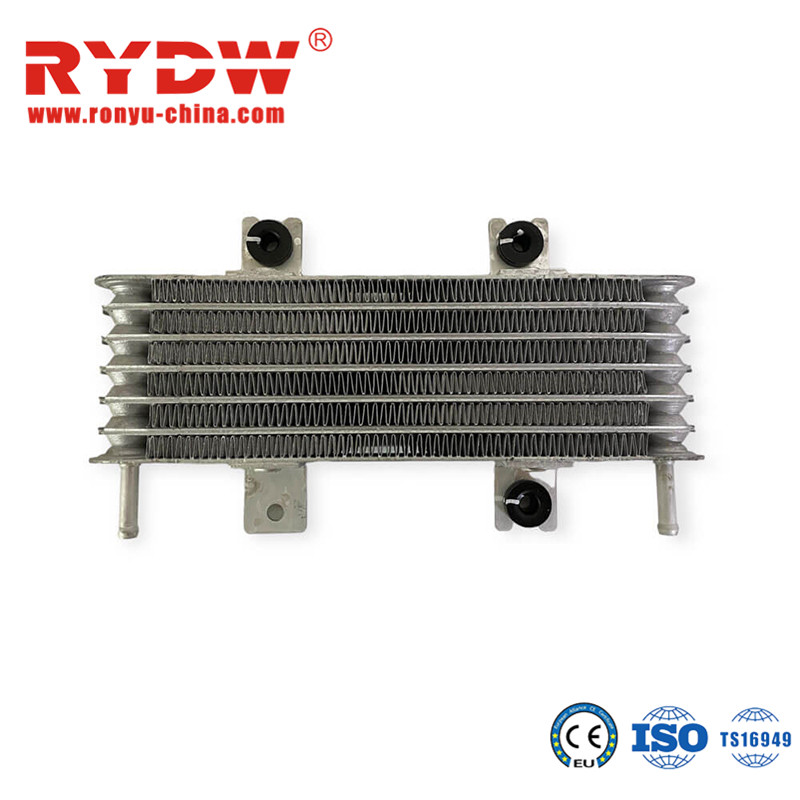 Brand New France Auto Spare Parts Transmission Radiator Kit 213056804R